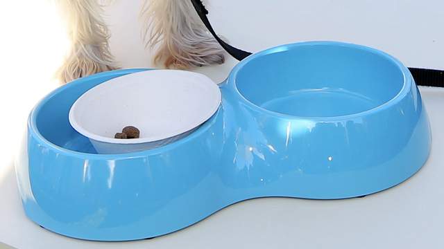 Pet food recalled after more than 2 dozen dogs died, FDA says