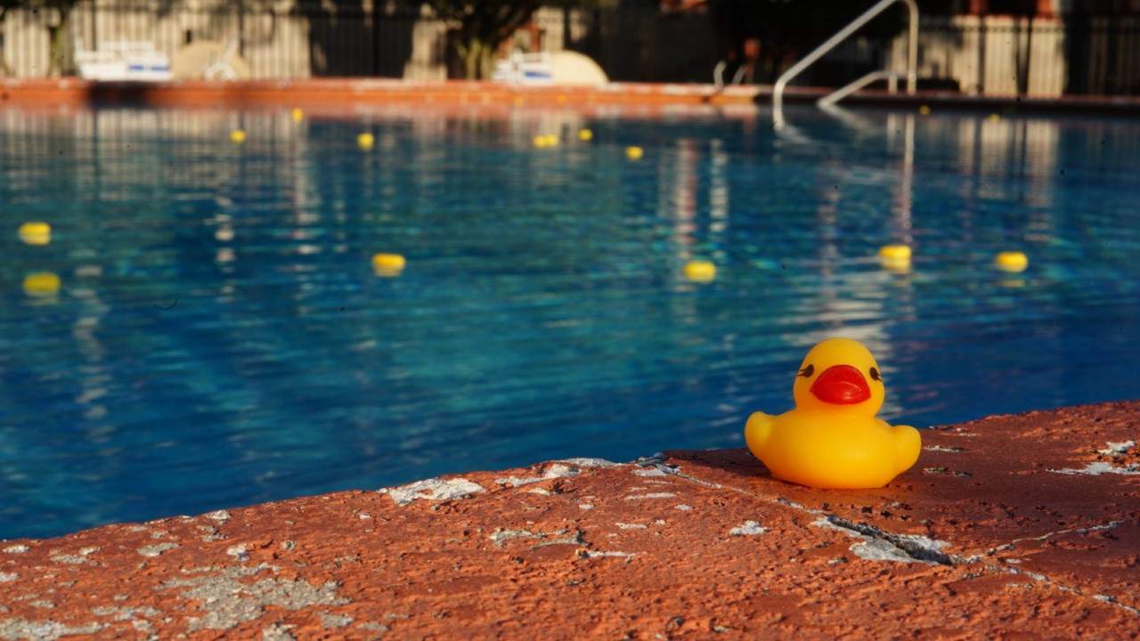 Army of rubber ducks used in school prank