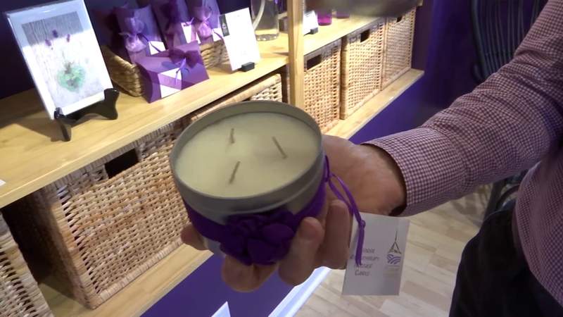 Come Experience All Things Lavender at Pelindaba Lavender | River City Live