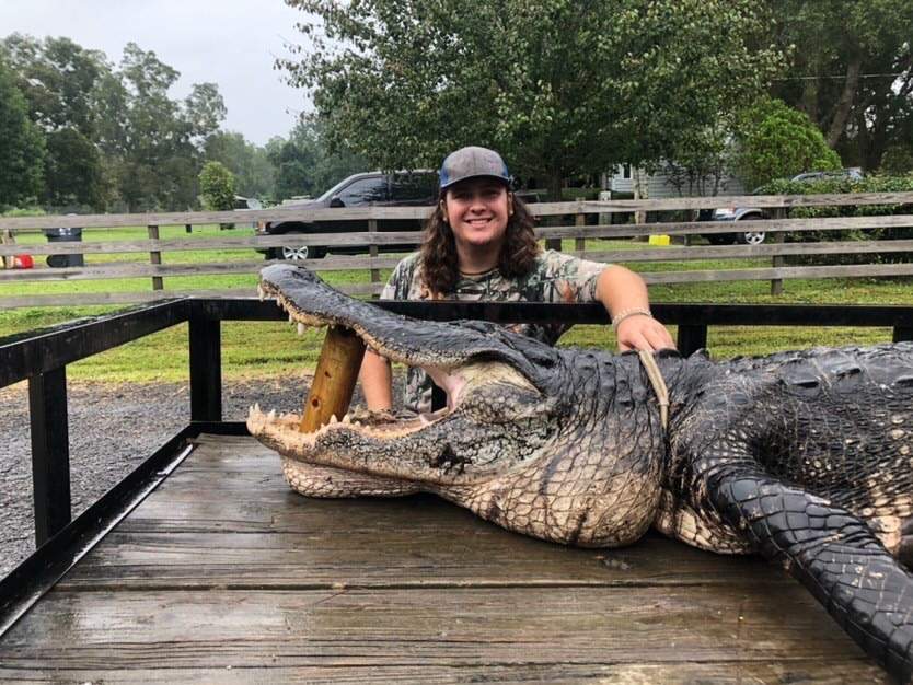 12-foot, 465-pound gator captured near Green Cove Springs