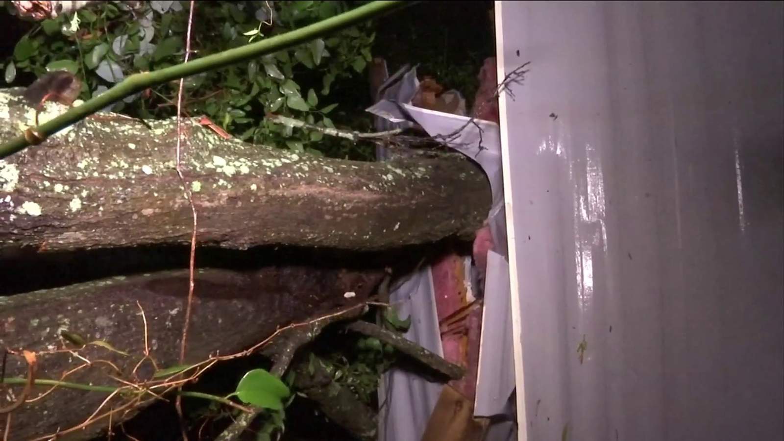 13-year-old rescued from home after tree traps her inside