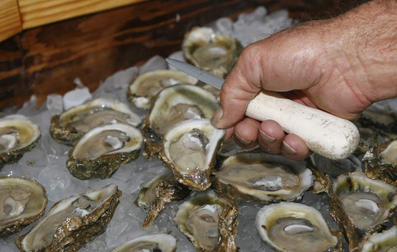 Oyster harvesting in Georgia to close for the summer