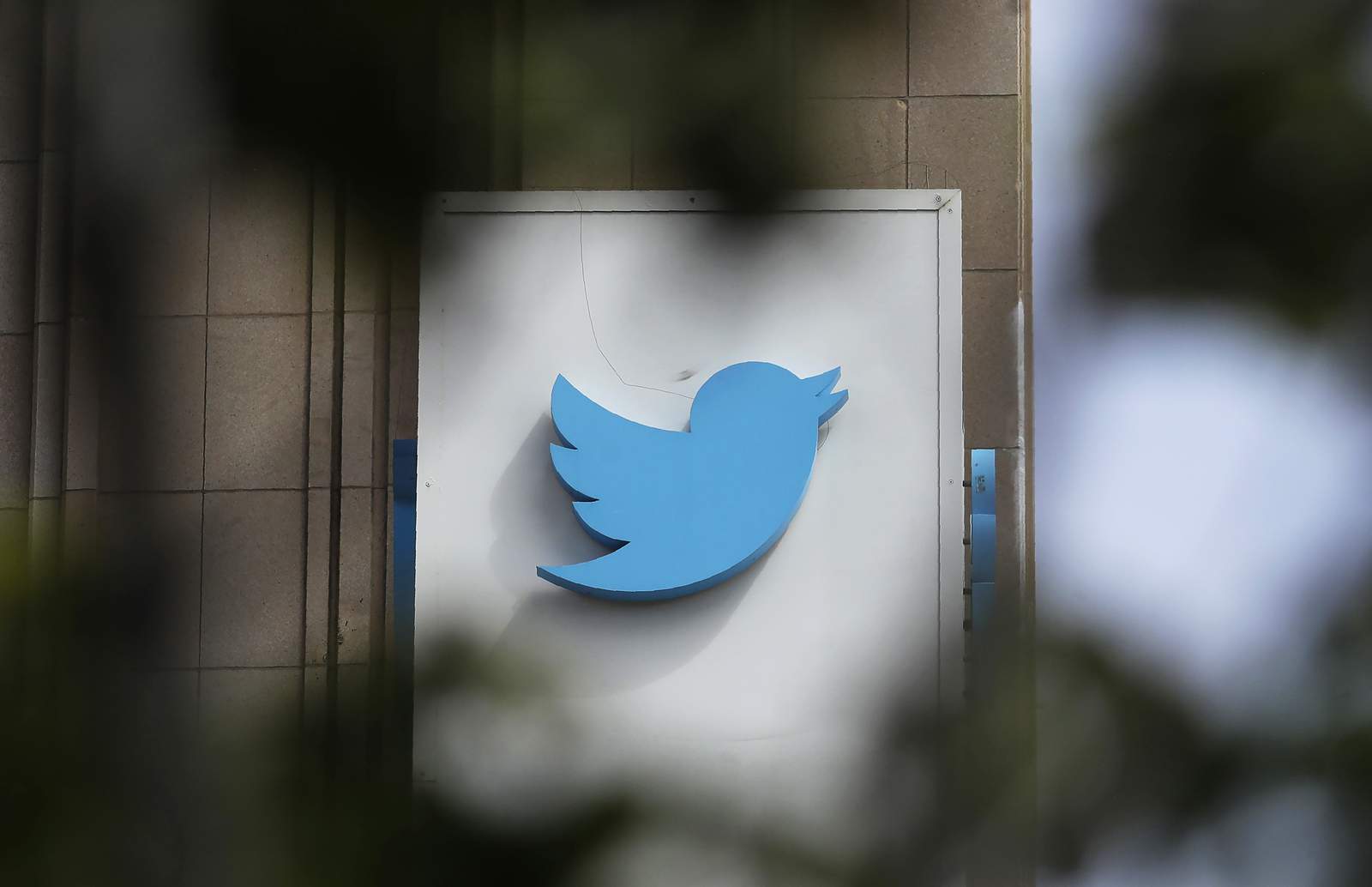 Twitter posts strong Q4 results as user base, revenue jumps