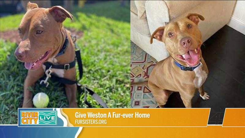 Give Weston A Fur-ever Home! with Fur Sisters | River City Live