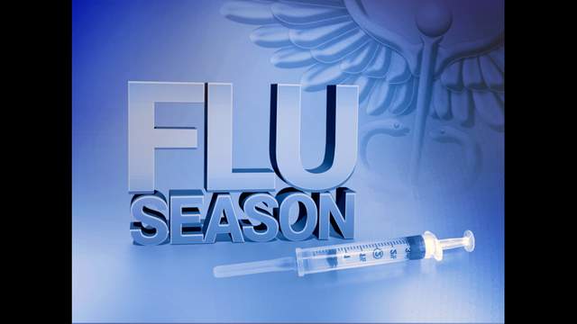 Florida has mild to no influenza activity
