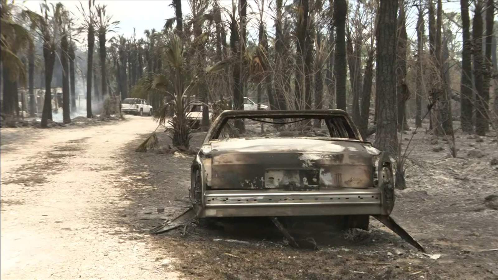 7 homes, 23 other structures destroyed by Florida wildfire