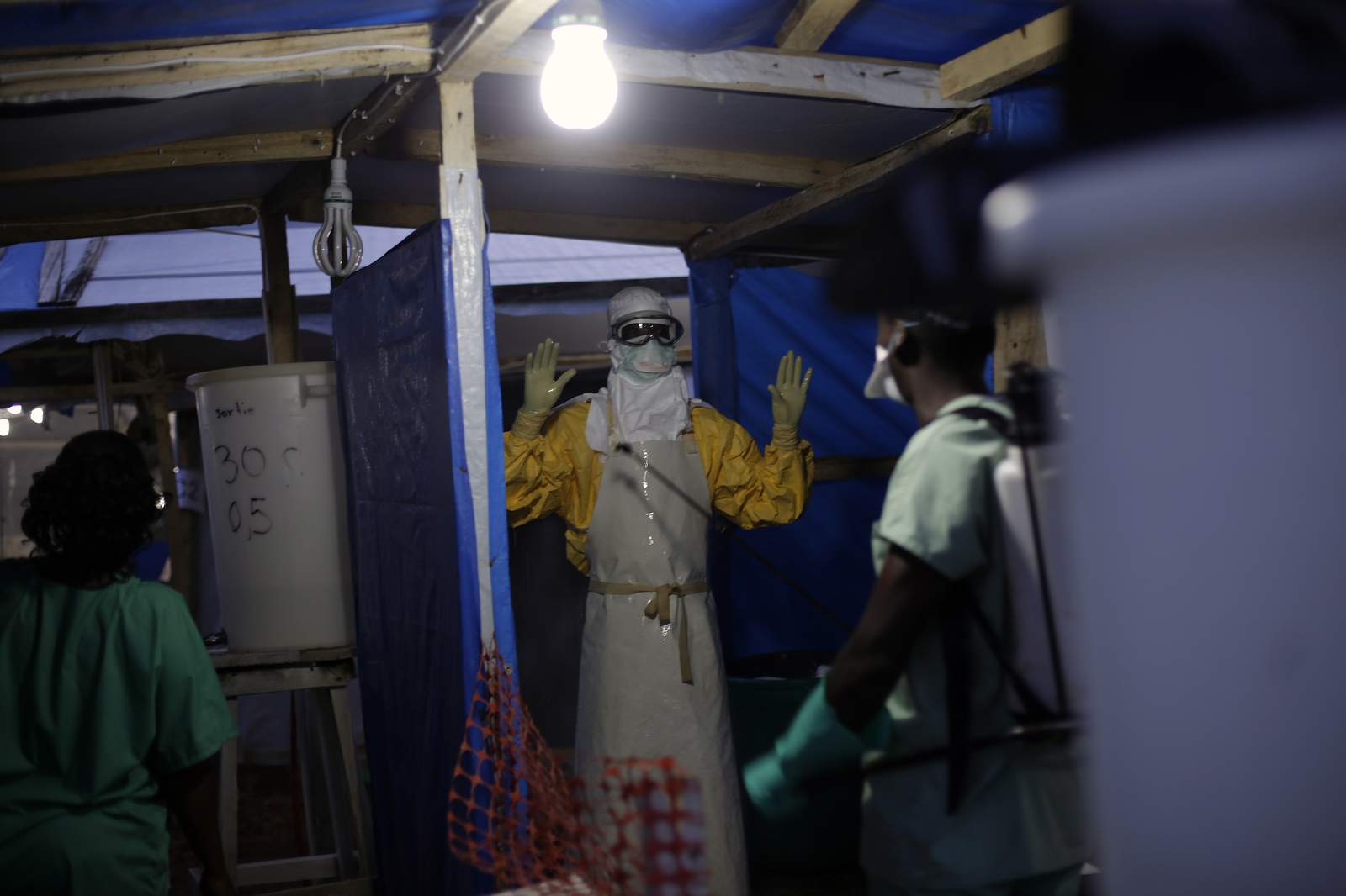 Guinea declares Ebola epidemic, neighboring countries act