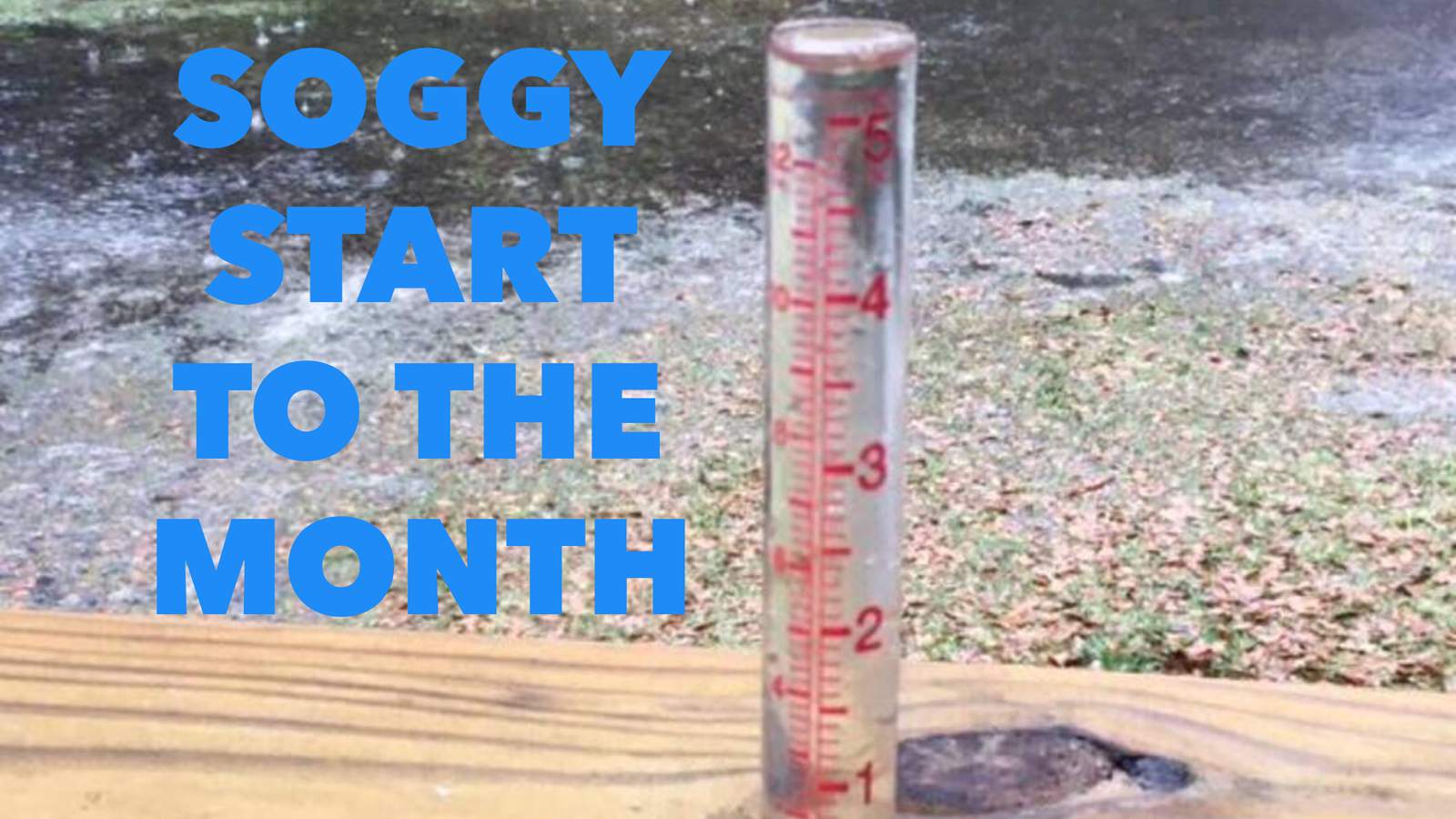 Soggy start to February: How this rain compares to years past
