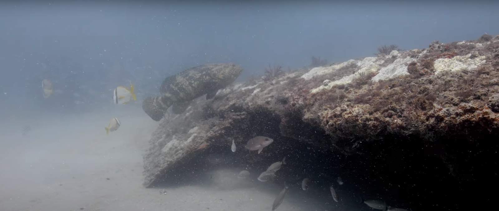 Whats left of St. Augustine shipwreck after 95 years?