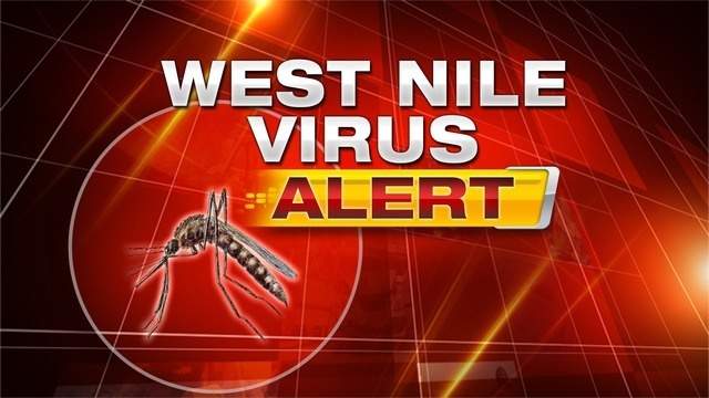 West Nile virus found in mosquitos in St. Marys