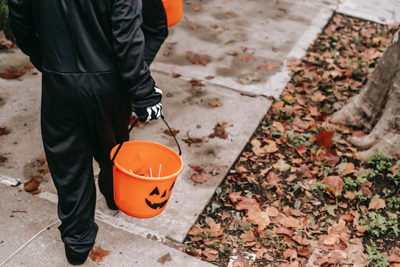 Trick-or-treating safety check: How to know if sex offenders, predators are on your route