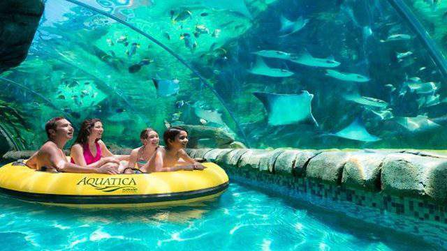 Children Ages 5 Under Get Free Admission To Seaworld Aquatica