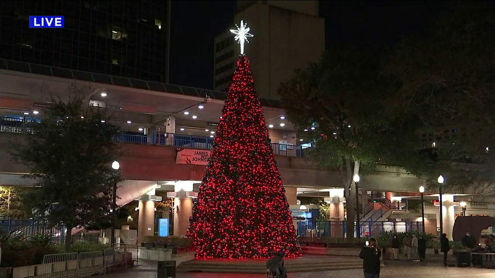 Christmas tree brightens Jacksonville’s James Weldon Johnson Park