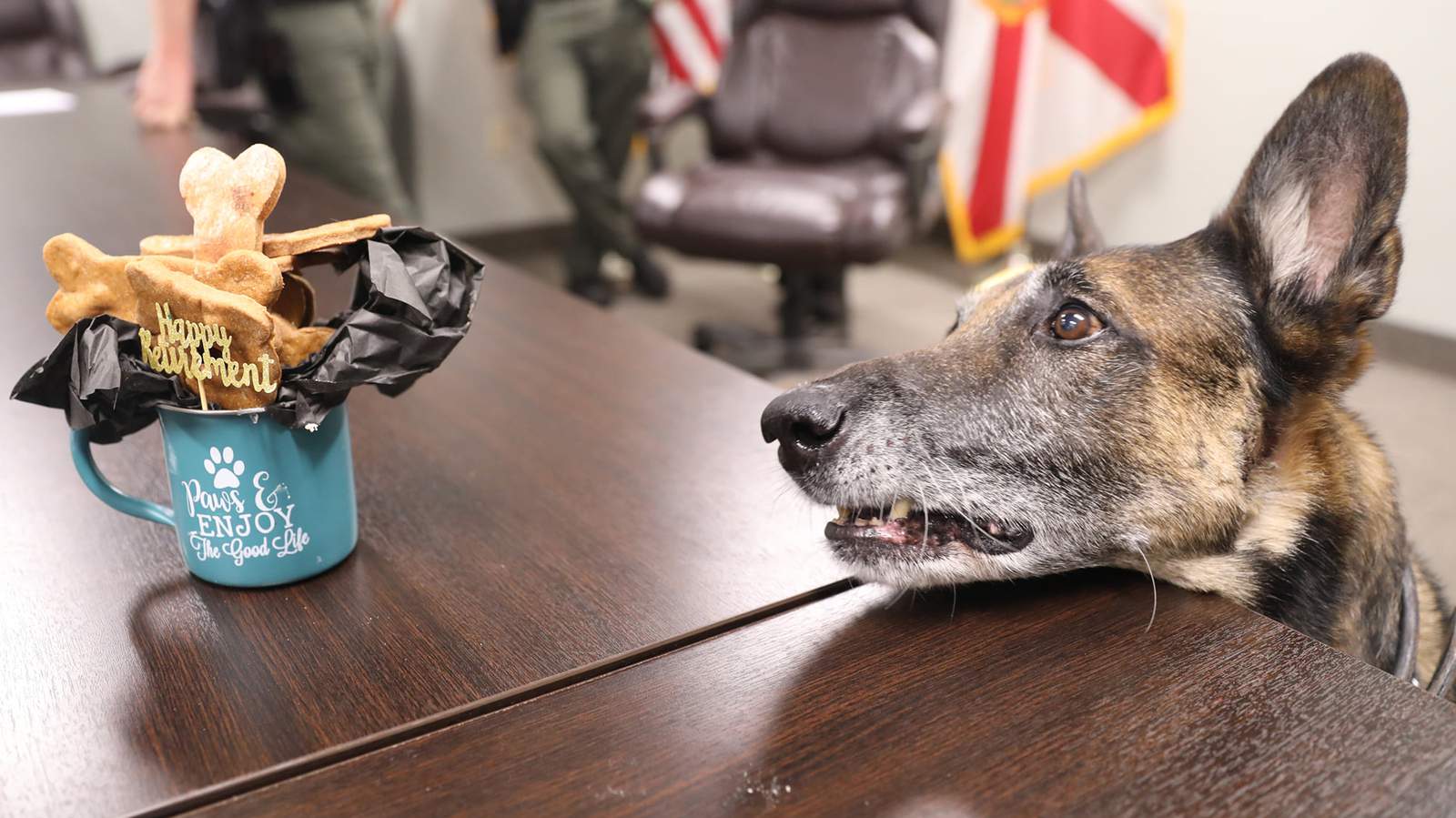 Cutest photos you’ll see today! Putnam County K-9 retires