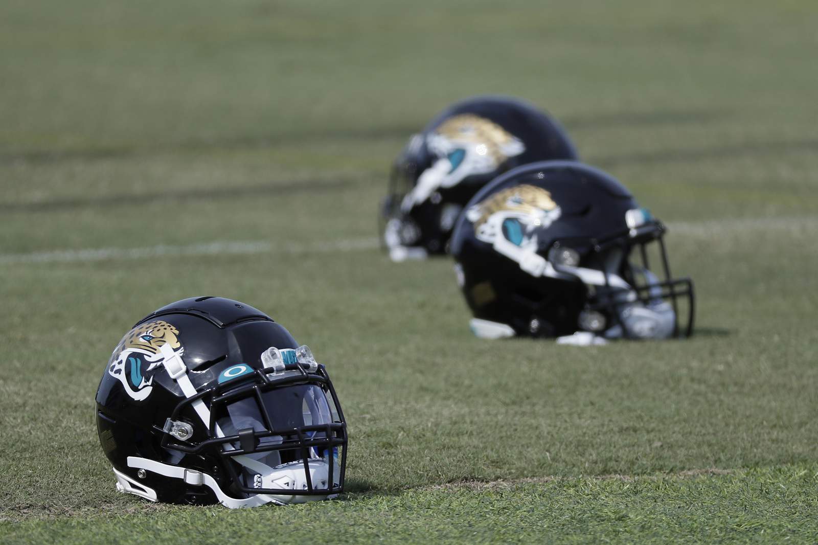 Jaguars remain in locker room during national anthem
