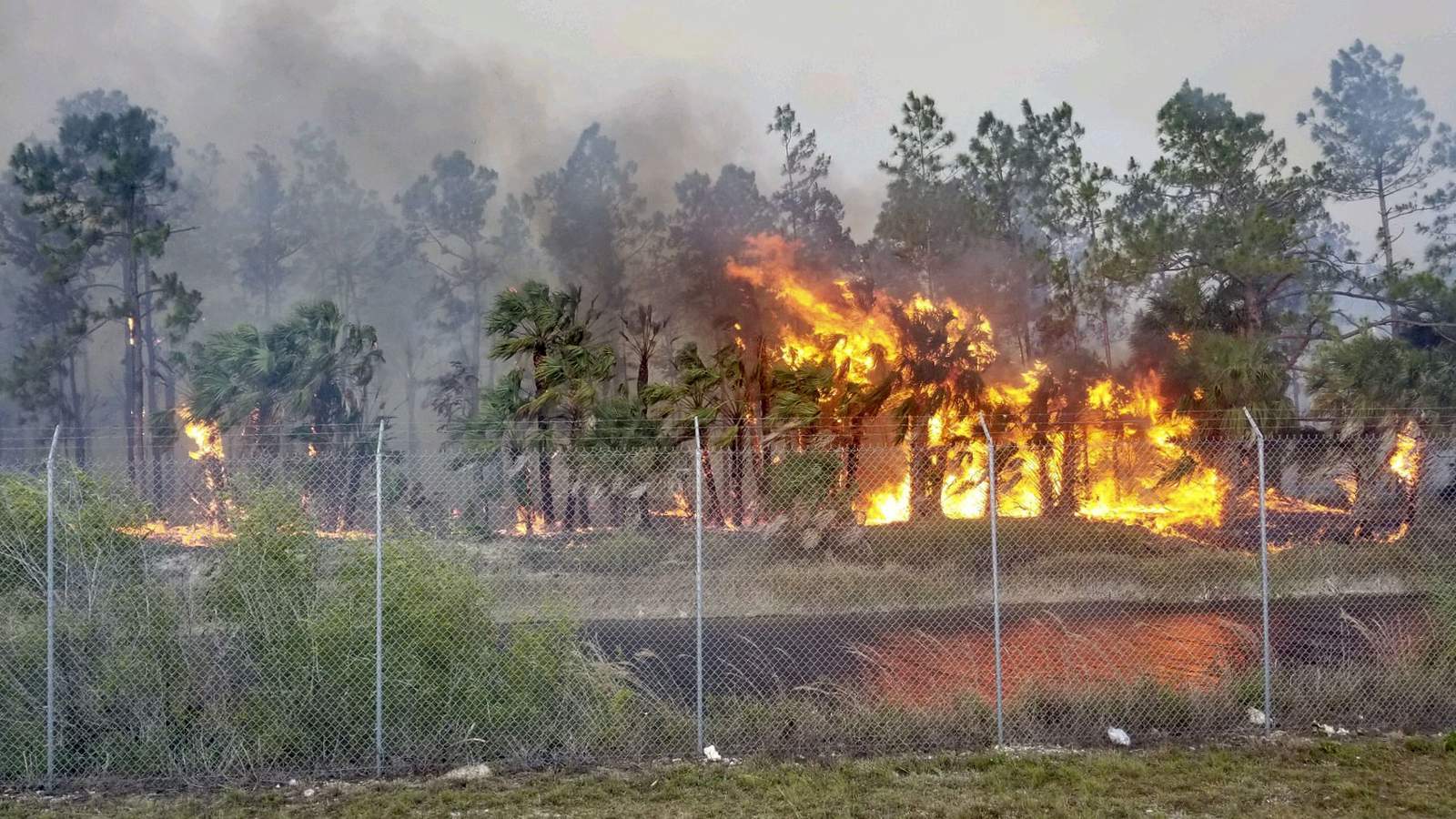 Forest Service: Large Florida brush fire is 60% contained