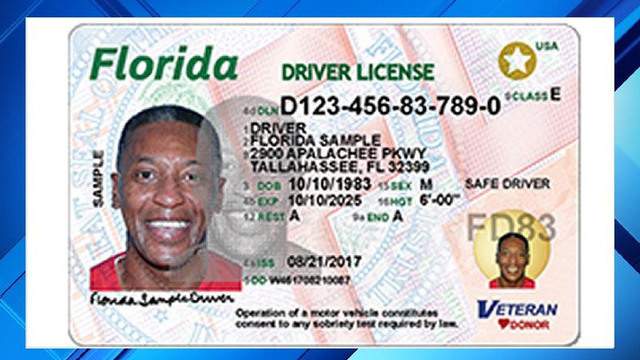 Picture Florida Drivers License