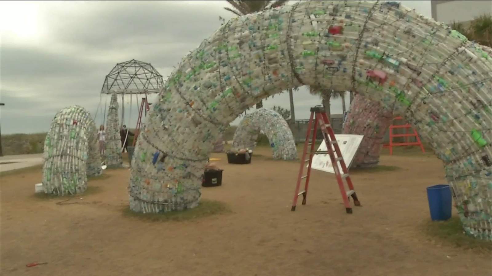 Plastic octopus to continue to spread environmental awareness at new home