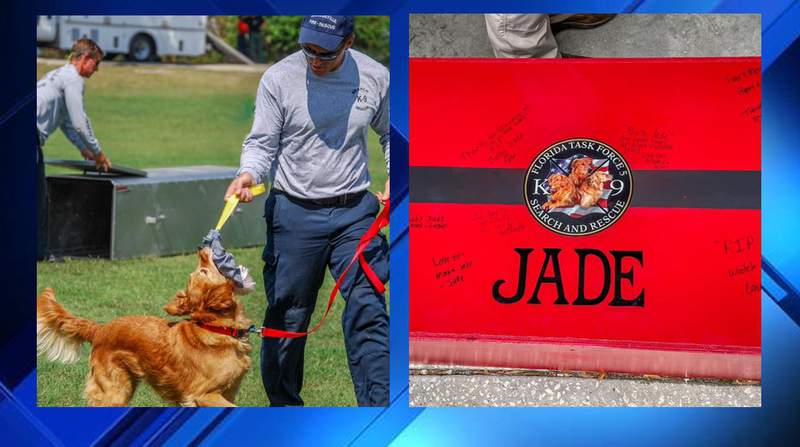 R.I.P.: JFRD mourns loss of 1st certified search dog
