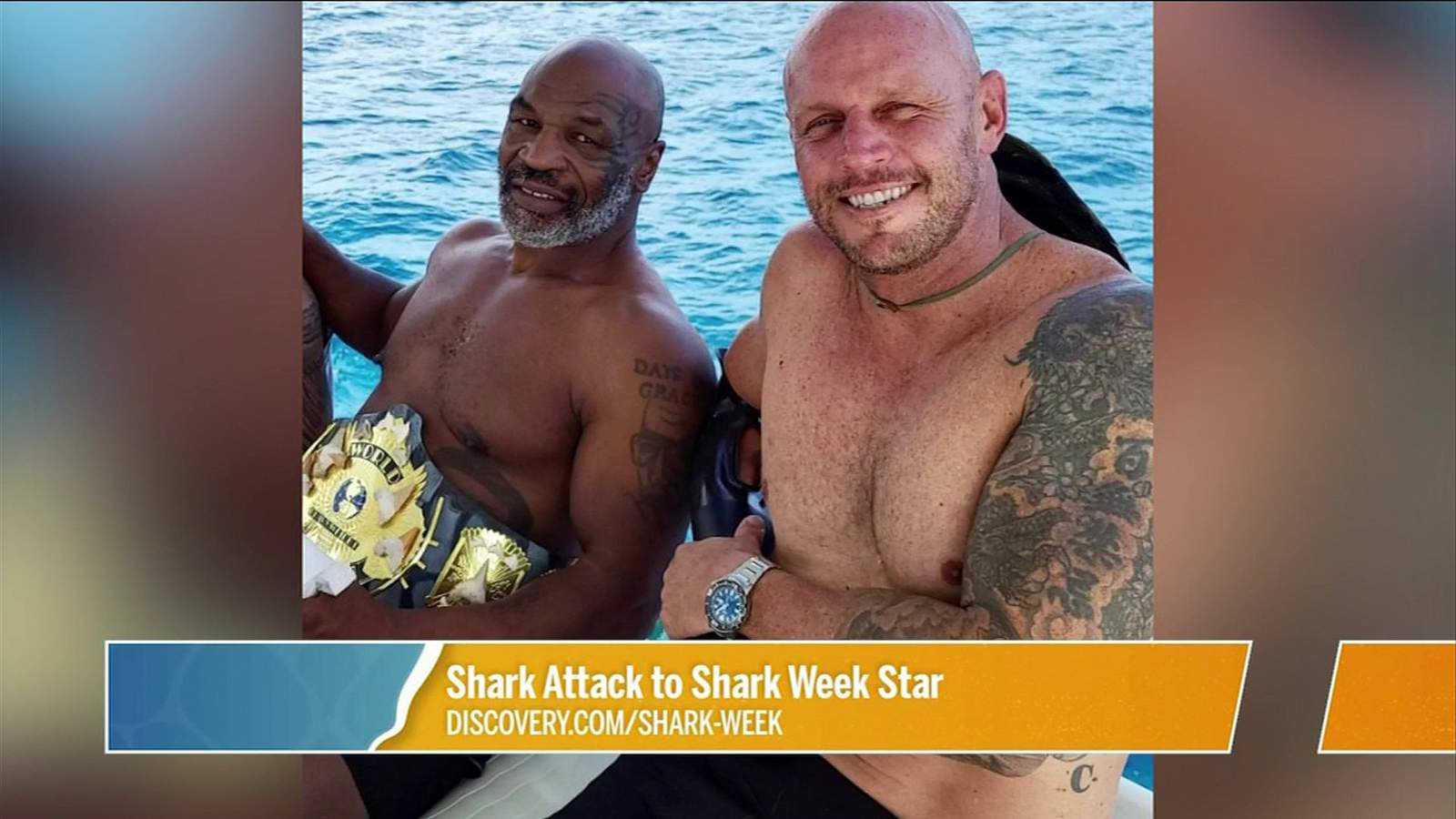 Shark Attack to Shark Week Star | River City Live