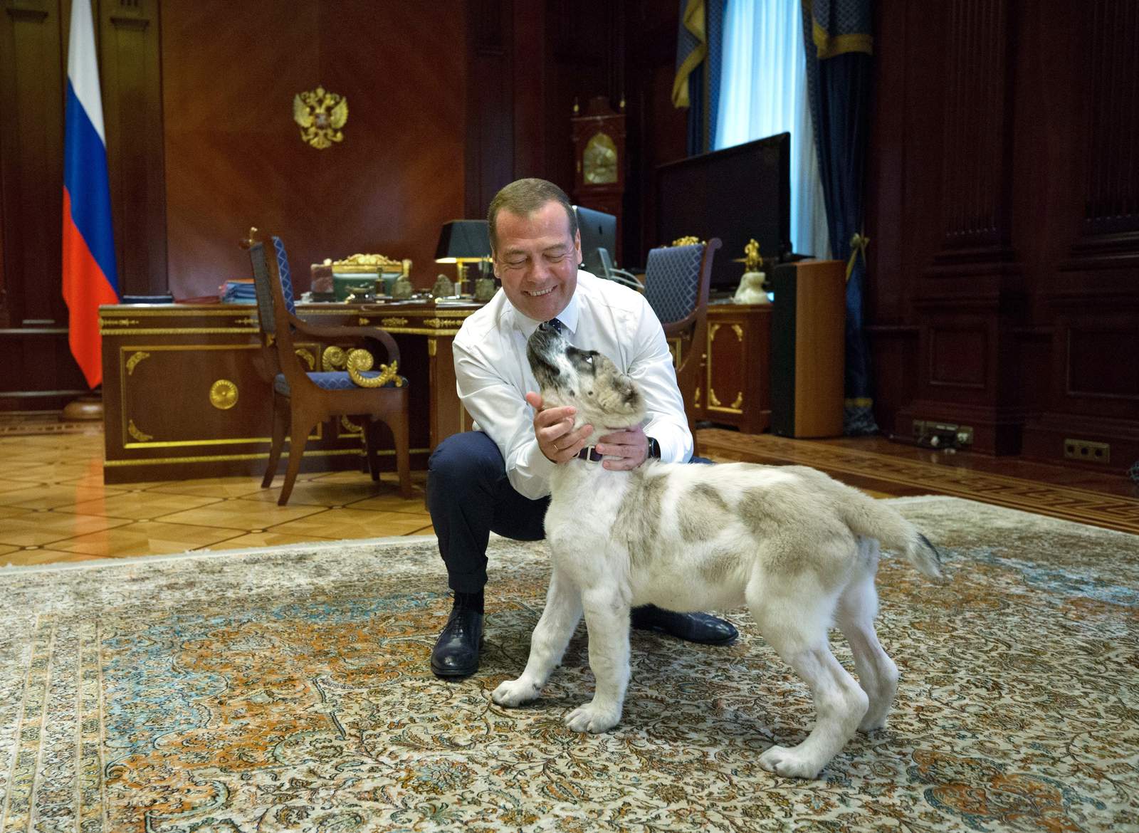 Turkmen ruler establishes holiday to honor local dog breed
