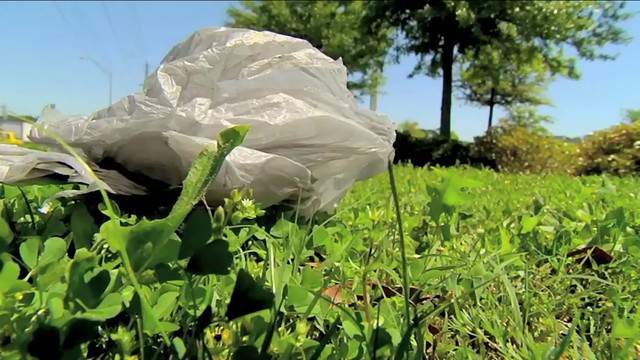 St. Augustine Beach could be headed toward ban on plastic bags