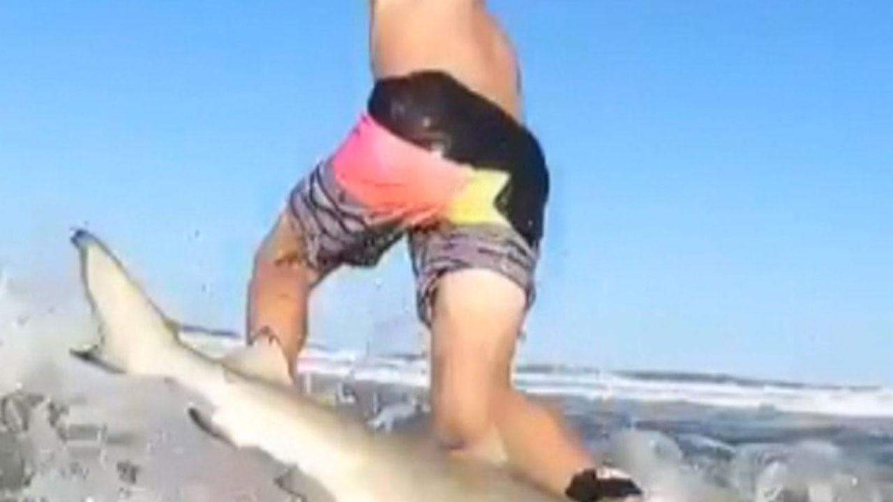 Florida Boy, 9, Knocked Off Surf Board By Shark