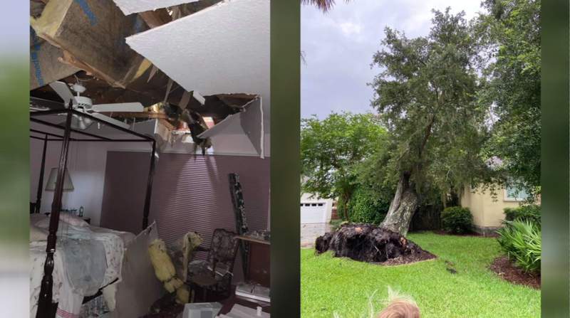 As Fernandina Beach resident turned around, tree crashed into her bedroom