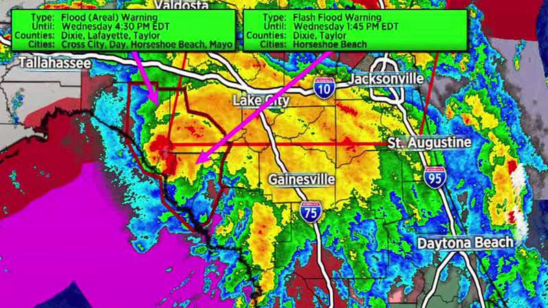 Tropical Storm Elsa makes landfall in Florida’s Big Bend
