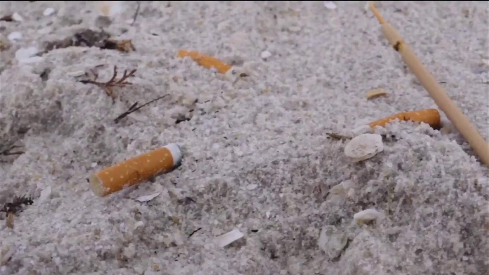 Smoking at public beaches, parks could be banned under newly filed bill