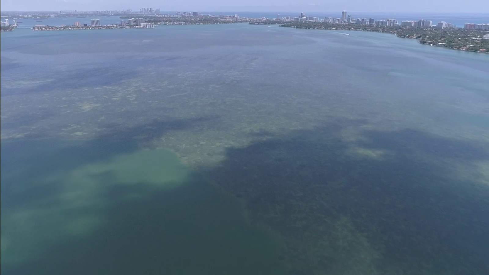 New report has same old findings on how to save Biscayne Bay