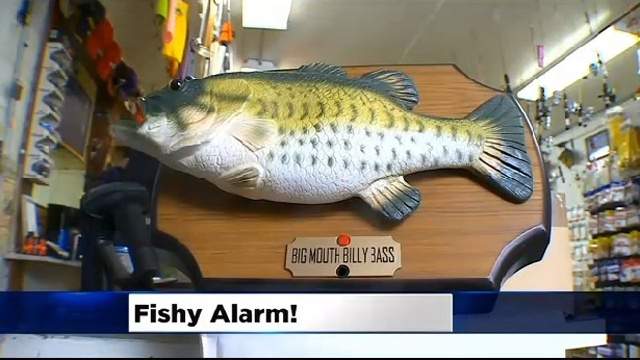 Would-be burglar foiled by singing fish