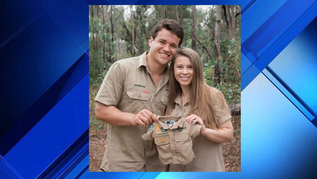 Bindi Irwin and husband Chandler Powell are expecting their first child