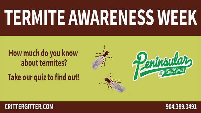 Termite Awareness Week Quiz