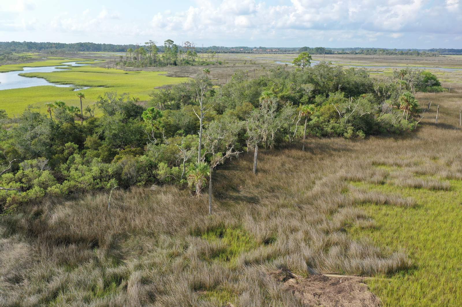 Land Trust must raise $350K to buy, preserve Intracoastal Waterway’s ‘Small Islands”