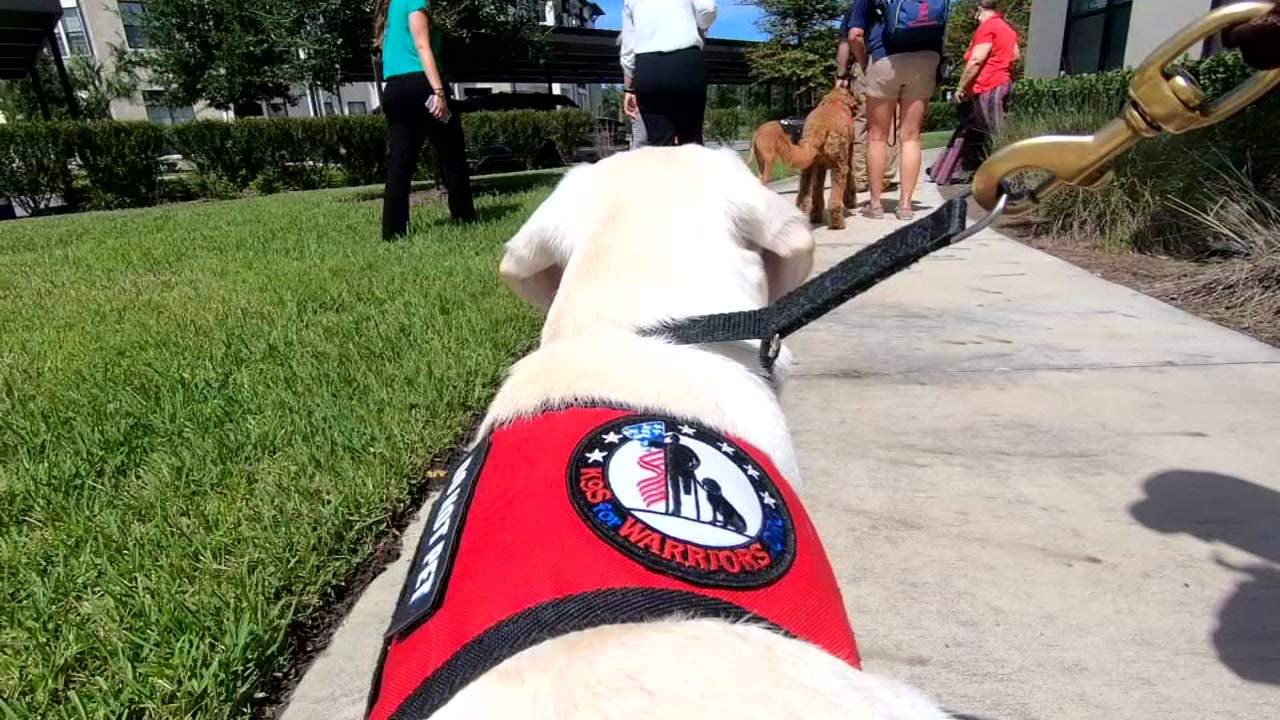 K9s for Warriors stays on mission through the pandemic