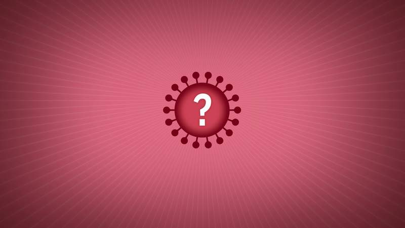 What is the 'delta plus' variant of the coronavirus?