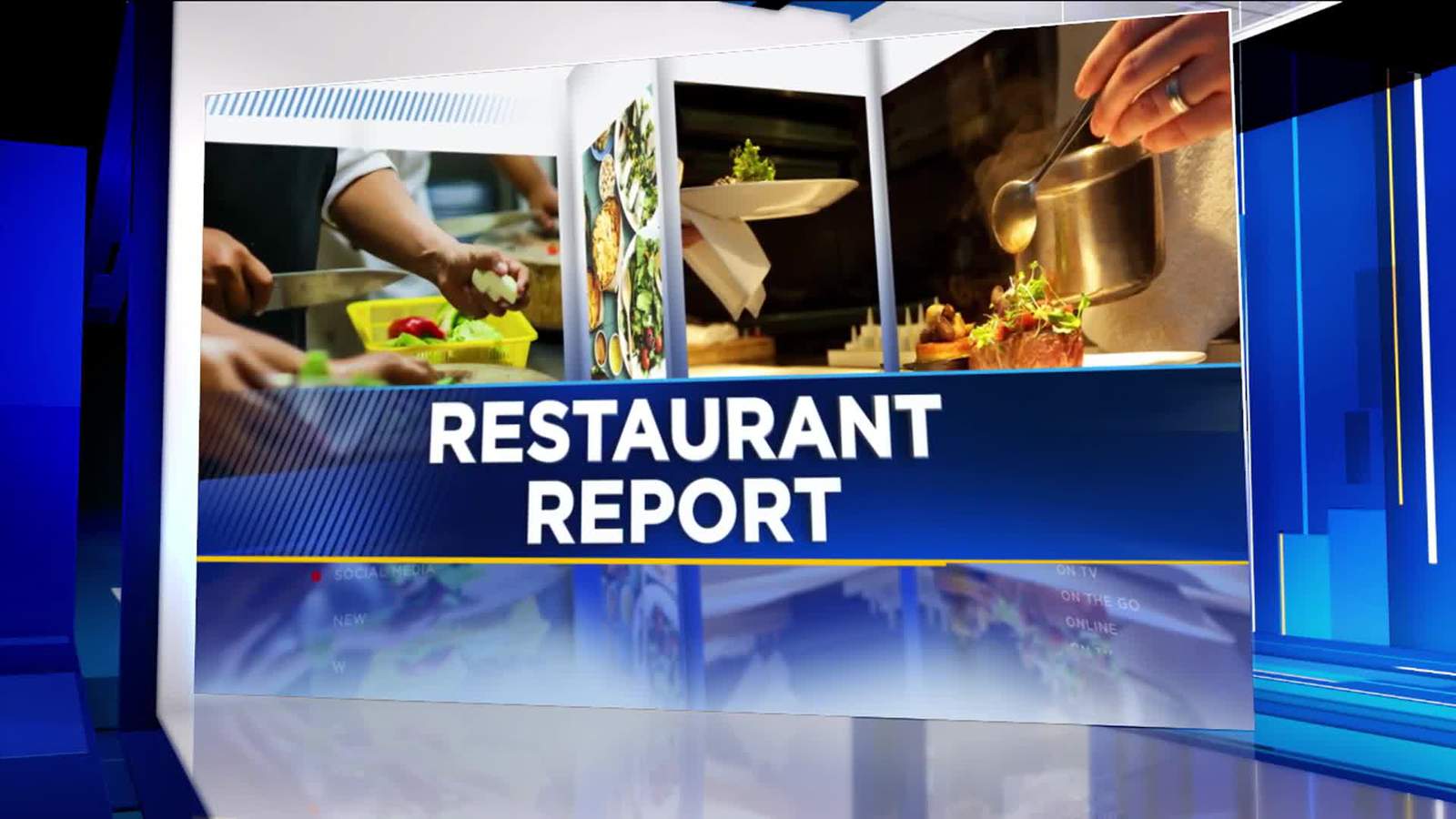 In this week’s restaurant report rodents, roaches, and flies oh my!