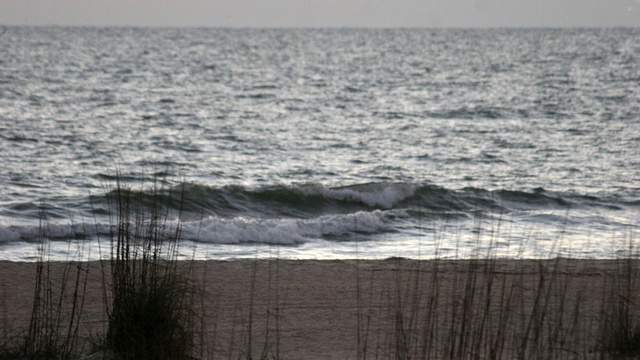 More than 10,000 sign on to reopen St. Johns County beaches
