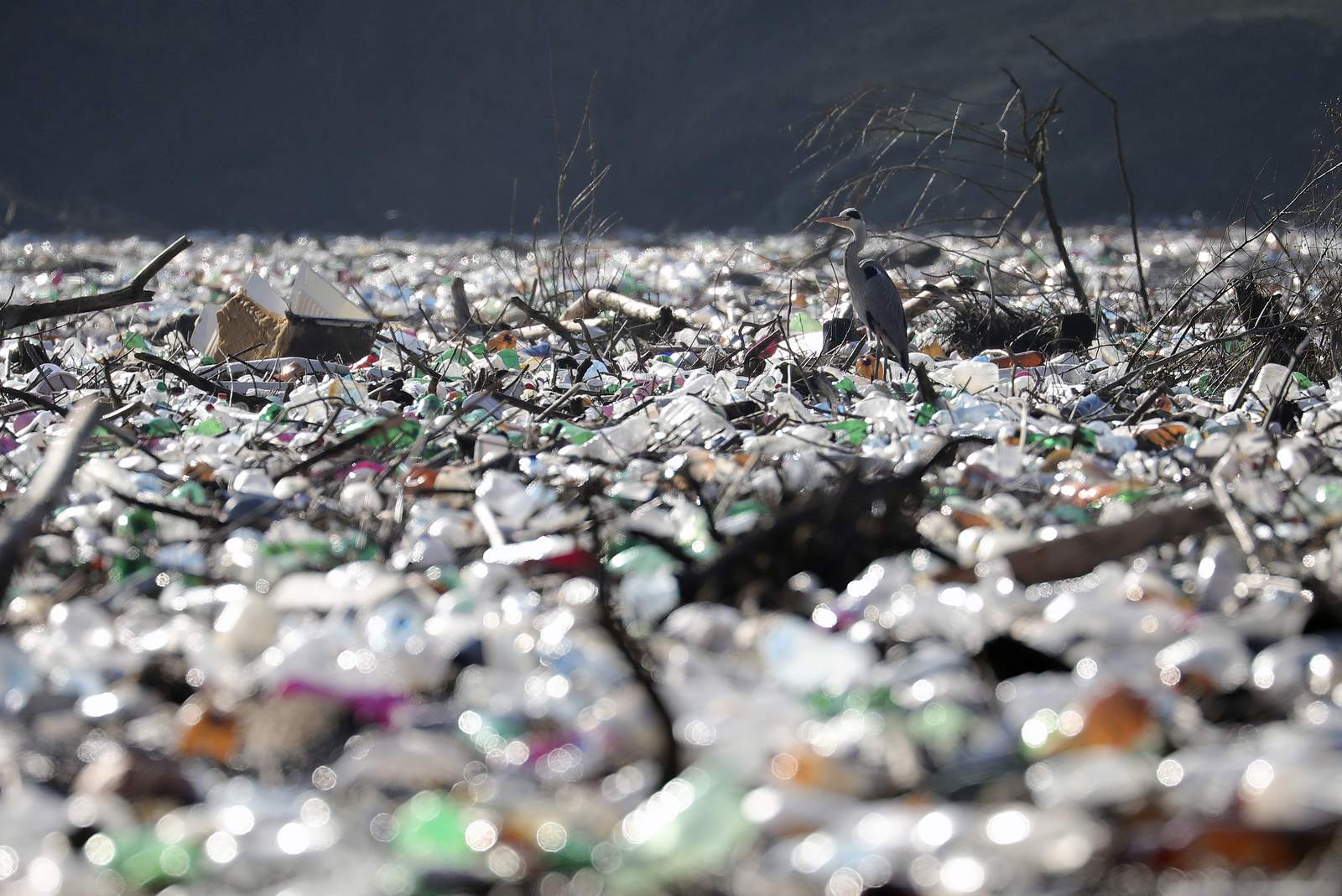 Islands of garbage clog rivers, threaten dam in Balkans