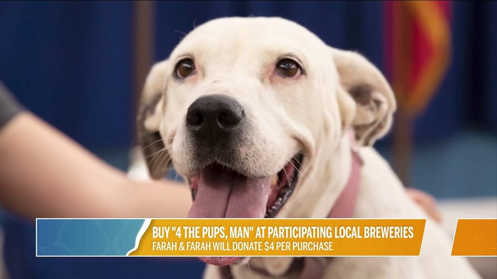 Buy 4 The Pups! At Participating Local Breweries | River City Live