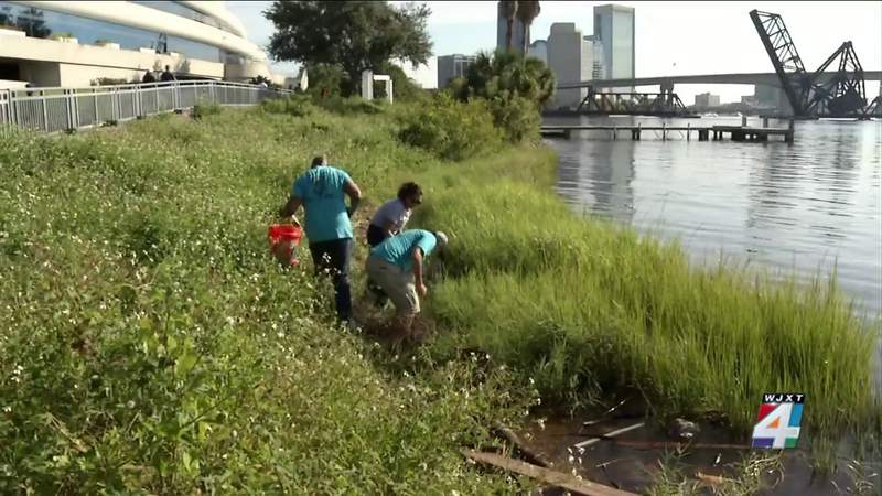 Hundreds of volunteers pitch in to clean up banks of St. Johns River