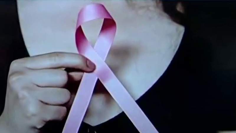 Florida woman serves as mentor for breast cancer patients