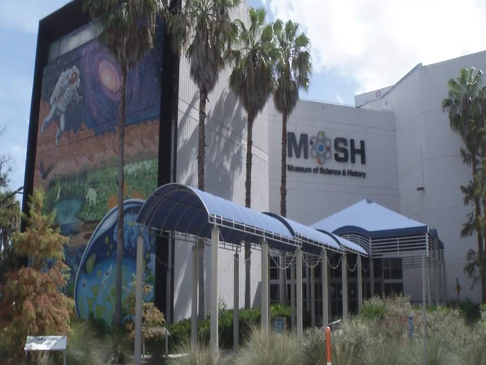 President of Museum of Science and History in Jacksonville resigns