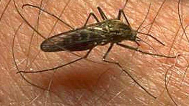 Baker Co. to start mosquito spraying this weekend