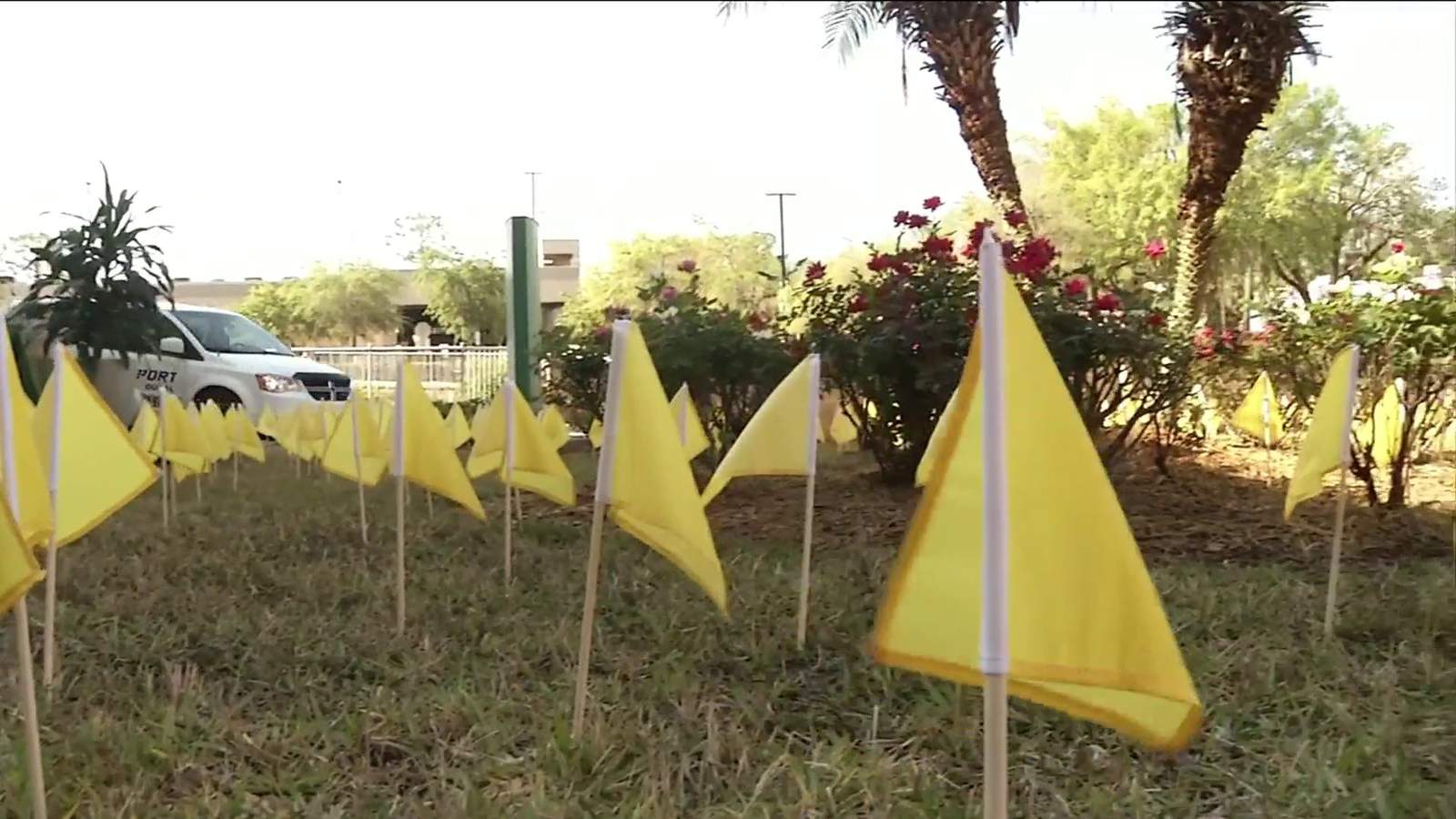 Memorial Hospital remembers pandemic one year later with flag ceremony