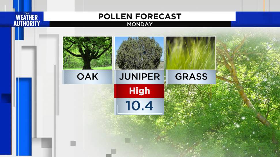 Enjoying the warm weather but not the pollen? An immunologist shares tips to combat allergies