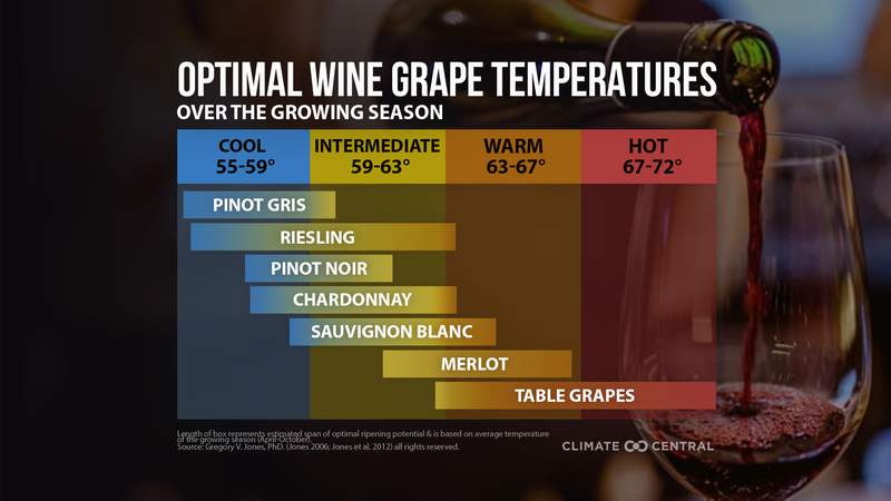 Attention wine lovers: Climate likely to impact wine growing season
