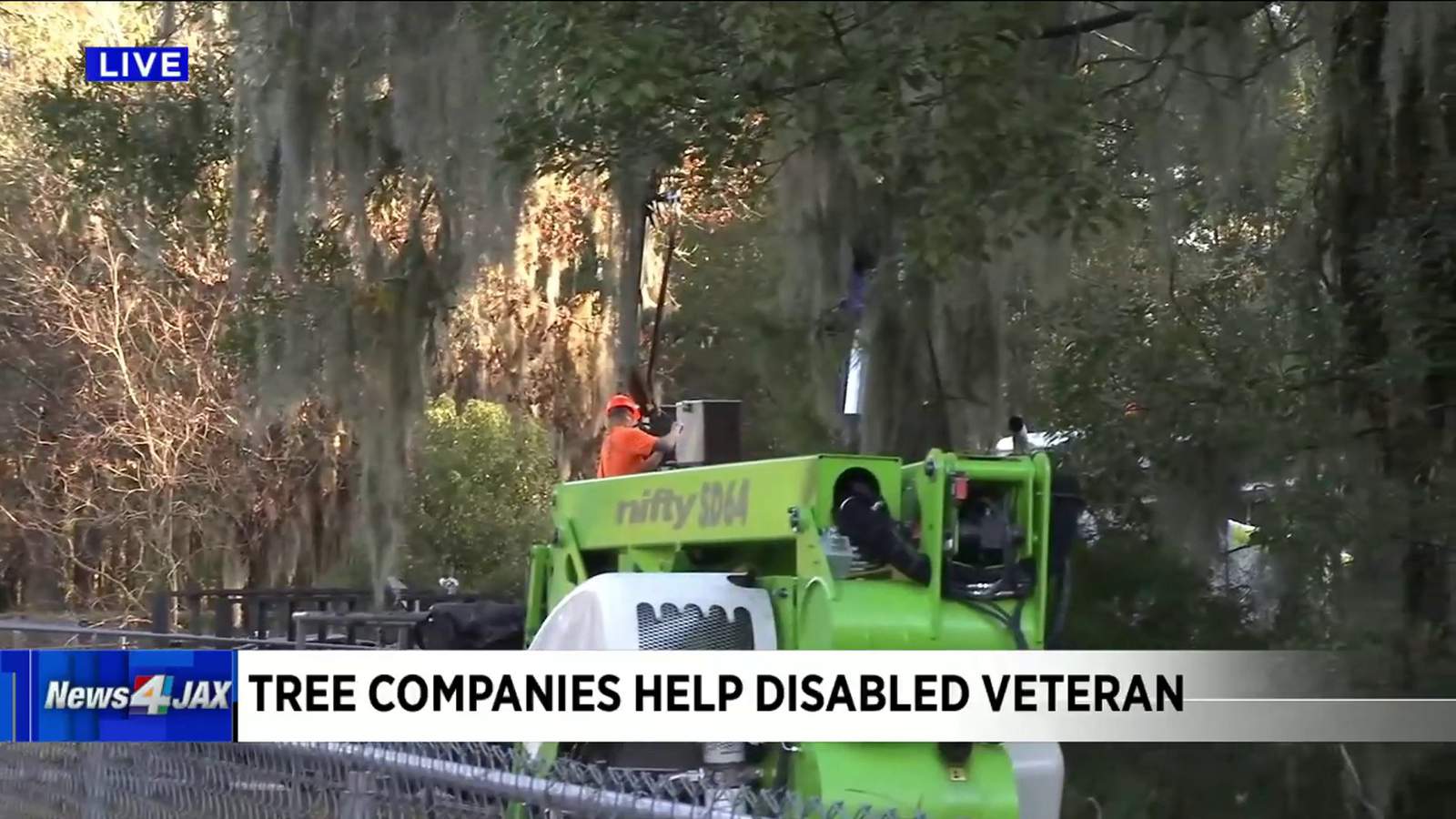 Positively Jax: Tree trimmers team up to help Jacksonville veteran