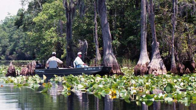 Fate of planned mine near Okefenokee left to Georgia agency